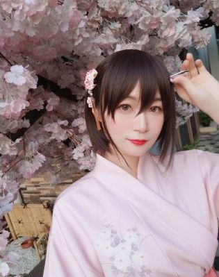 一级成人免费视频