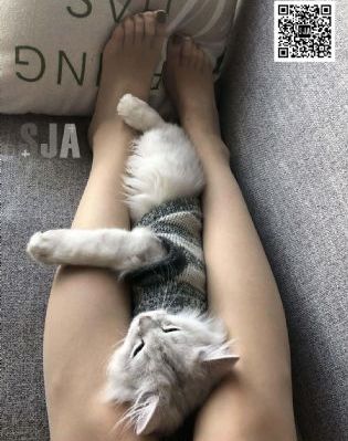妻子的背叛3的电影高清