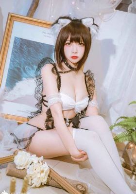 美食猎人动漫全集免费观看