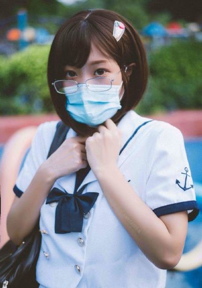 29片棕榈叶
