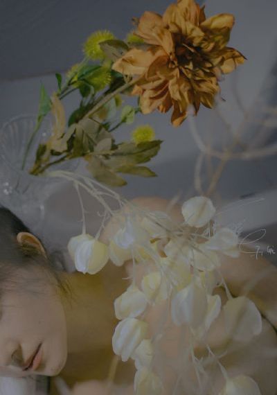 后营露营第二季