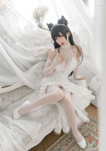 不良义姐