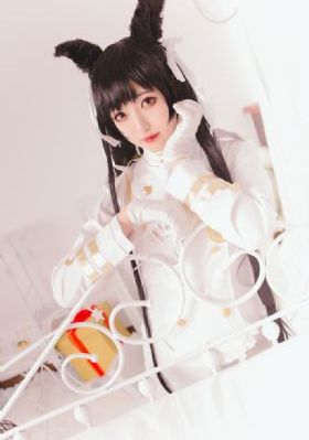 磁力岛官网