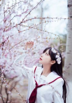 破产姐妹